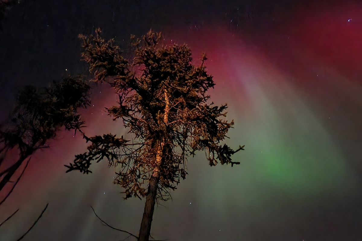Platform Introduces Staff-Reviewed Candidate Matching
